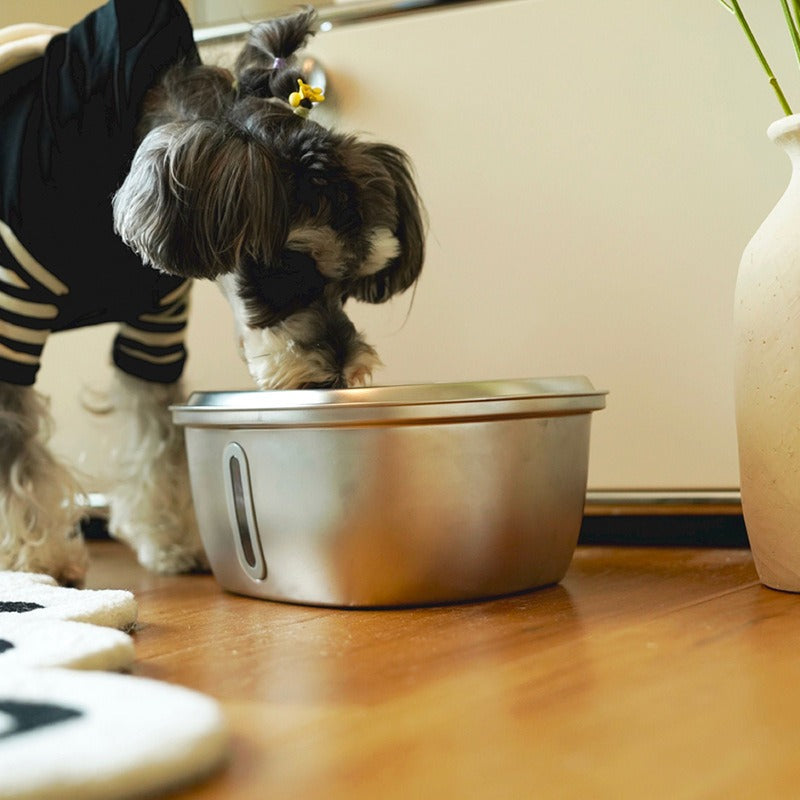 3L stainless steel pet water dispenser
